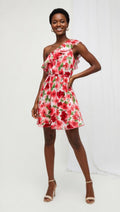 Ashley Floral Print Dress
