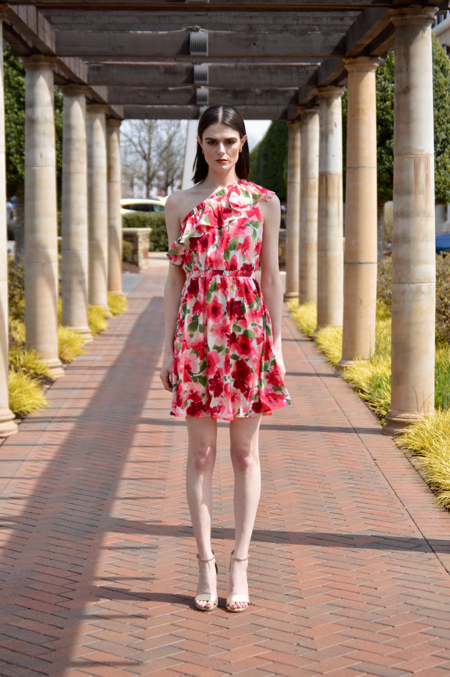 Ashley Floral Print Dress