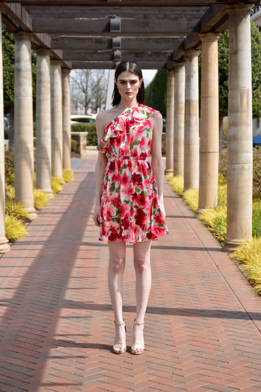 Ashley Floral Print Dress
