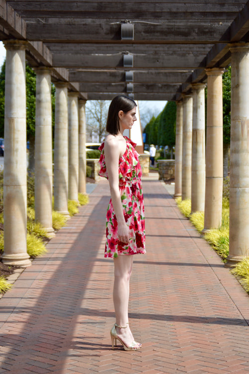 Ashley Floral Print Dress